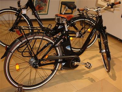 E- Bike - Arte e antiquariato