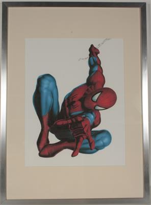 Spiderman Marvell Comic, - Arte e antiquariato