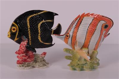 Pinzetten und Kaiserfisch - Antiques and art