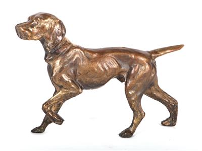 Weimaraner - Antiques and art