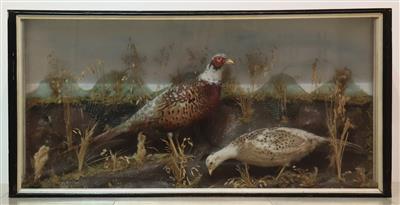 Schaukasten, sogen. "Diorama" - Antiques and art