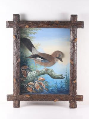 Vogelpräparat "Eichelhäher" - Art, antiques, furniture and technology