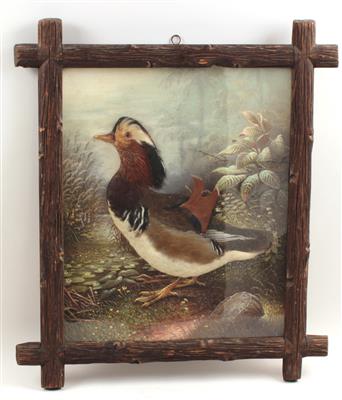 Feder-Reliefbild von Johann Schroll "Mandarinente" - Letní aukce