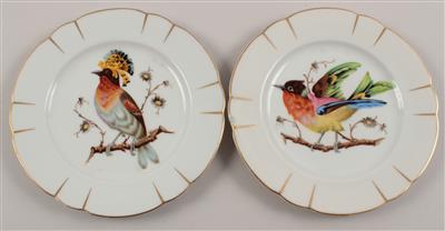 11 Teller mit Vogelmotiven, - Antiques and Paintings