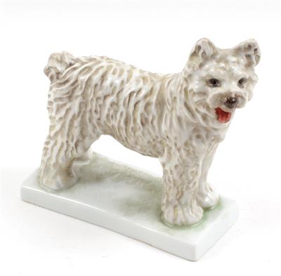 Puli-Ungarischer Hirtenhund, - Antiques and Paintings