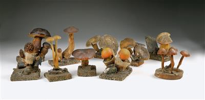 Seltene Sammlung von 10 Pilzmodellen aus Wachs - Letní aukce