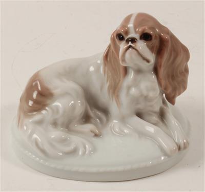 King Charles Spaniel, - Summer-auction