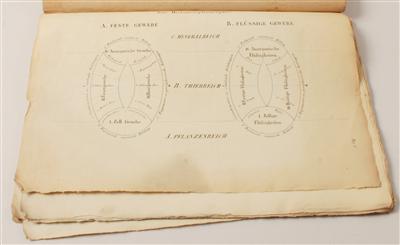 Morphographischer Atlas; oder Schemata zu Dr. J. H. SCHMIDT'S Morphologie, in zwei Bänden. - Starožitnosti, Obrazy
