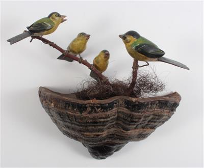 Nest mitm vier Grünfinken, - Antiques and Paintings