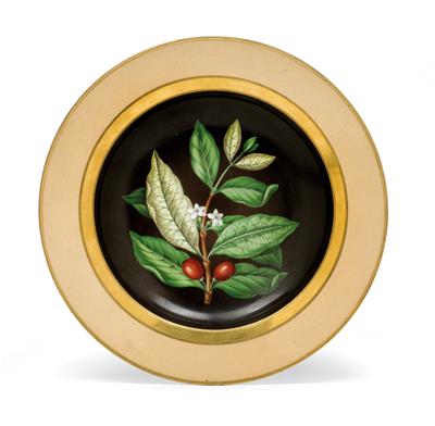 "Coffea arabica" botanischer Teller, - Antiquitäten & Möbel