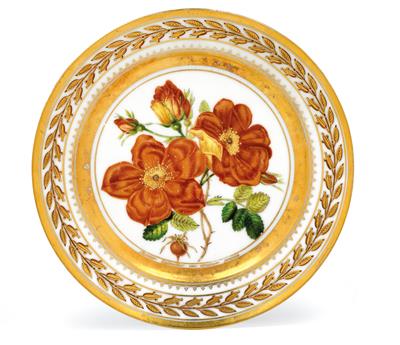 A Russian botanical plate "Rosier Eglantier var. Couleur ronceu”, - Works of Art