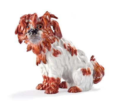 A Bolognese Dog, Meissen 1973, - Una Collezione dalla Stiria I