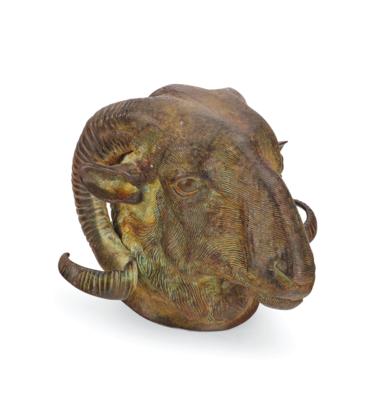A Mouflon Head, - Una Collezione dalla Stiria I