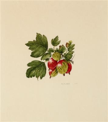 K. Auer, Mitte 20. Jahrhundert - Watercolours and miniatures