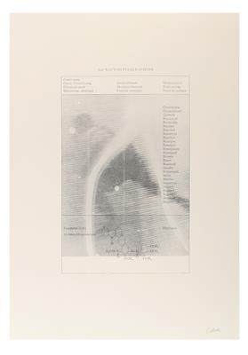 Sigmar Polke * - Druckgrafik und Multiples