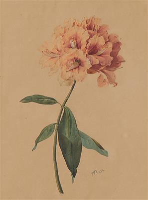 Künstler um 1855 - Disegni e stampe di maestri fino al 1900, acquerelli, miniature