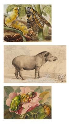 Monogrammist HM - Mistrovské kresby a grafiky do roku 1900, akvarely, miniatury