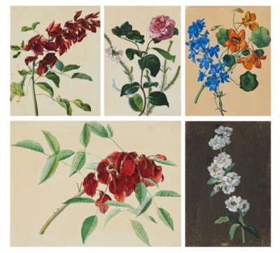 Konvolut Blumenaquarelle, 1. Hälfte 19. Jahrhundert - Graphiken, Zeichnungen und Aquarelle bis 1900