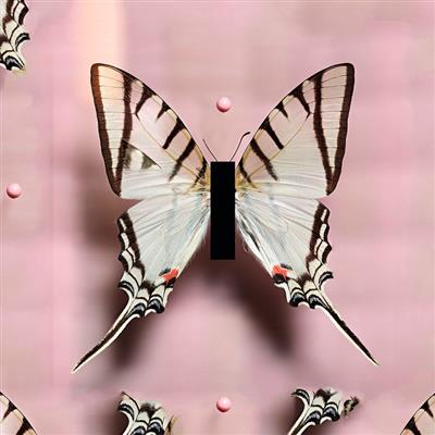 Michael BACHHOFER, „Schwalbenschwanz in Pink mit drei Dolchen“, 2019 - Jubiläums-Charity-Kunstauktion zugunsten SOS MITMENSCH