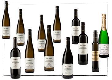 Sepp Moser, Rohrendorfer Sortiments-Paket mit 12 verschiedenen Weinen aus Top-Lagen - Asta di vino di beneficenza a favore dell'associazione Projekt Integrationshaus