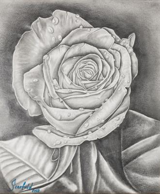 Scarfield, "Rose" - Charity-Kunstauktion zugunsten des Wiener Tierschutzvereins
