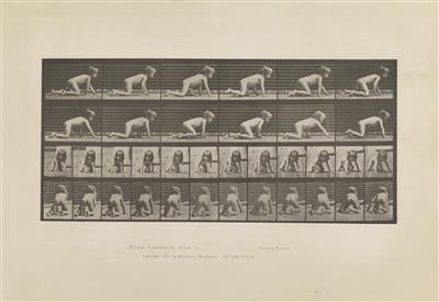 Eadweard Muybridge - Art Photography