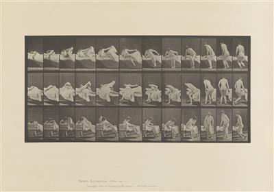 Eadweard Muybridge - Fotografie