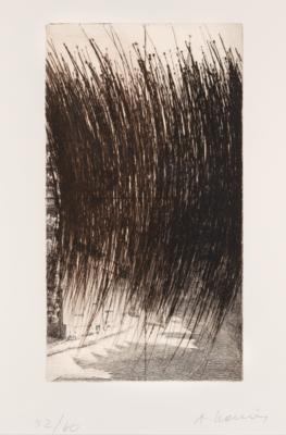 Arnulf Rainer * - Moderní umění grafika