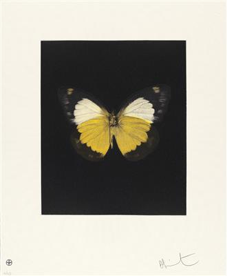 Damien Hirst * - Zeitgenössische Kunst, Teil 2