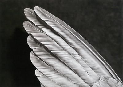 Robert Longo - Arte contemporanea II