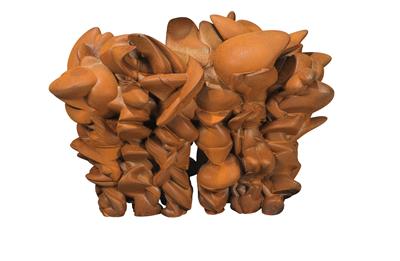 Tony Cragg (Anthony Douglas Cragg) * - Současné umění II