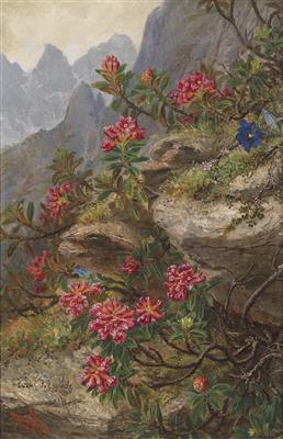 Anna Stainer-Knittel - 19th Century Paintings and Watercolours