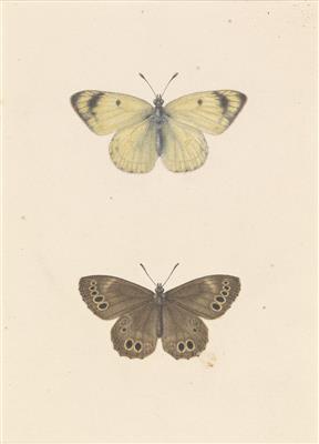 Pancrace Bessa - Disegni e stampe fino al 1900, acquarelli e miniature