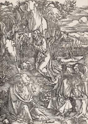 Albrecht Dürer - Master Drawings and Prints until 1900