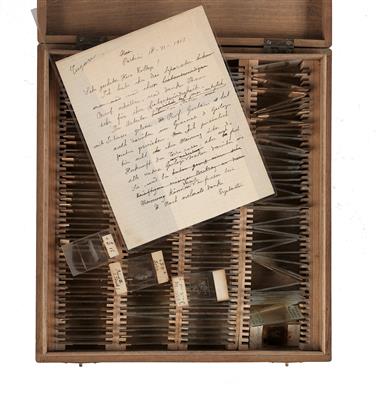 Sammlung petrografischer Dünnschliffe - Historische wissenschaftliche Instrumente und Globen - Klassische Fotoapparate und Zubehör