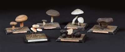 Six c. 1900 painted plaster Mushroom Models - Historické vědecké přístroje, globusy a fotoaparáty