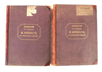 Two 19th century Herbarium books - Historické vědecké přístroje, globusy a fotoaparáty