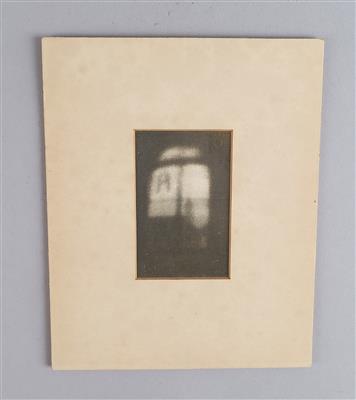 Sigmund Exner-Erwarten (1846-1926) Lichtdruck nach einer Fotografie durch das Auge der Libelle - Uhren, Technik, Kuriositäten & eine Sammlung historischer Brillen