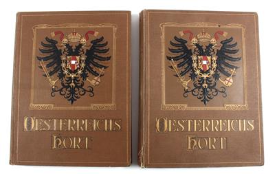 2 books, - Armi d'epoca, uniformi e militaria