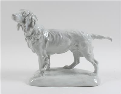 Hund, - Antiquariato