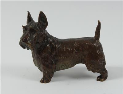 Terrier, - Summer-auction