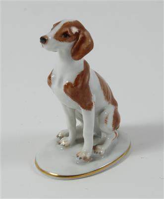 Junger Jagdhund, - Antiques