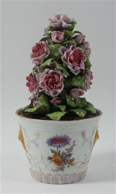 Rosenstock im Blumentopf, - Antiques
