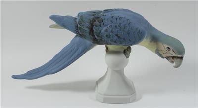 Papagei, - Saisoneröffnung - Antiquitäten