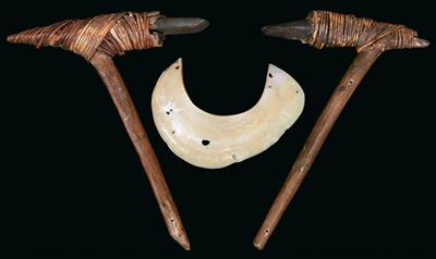 Konvolut (3 Stücke), Neuguinea: Eine sogenannte 'Kina-Muschel' (Schmuck und Wertgegenstand) und zwei Steinäxte. - Antiques