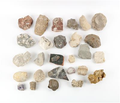 Konvolut Fossilien und Mineralien - Antiquitäten