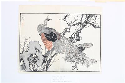 Kono Barai (1844-1894) - Antiquitäten - Saisonabschlussauktion