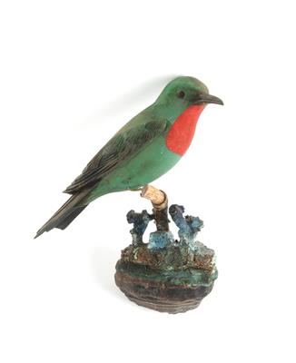 Großer bunter Vogel, - Antiquariato