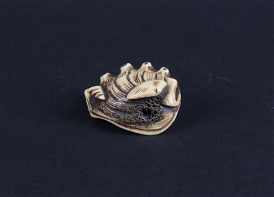 Netsuke eines Meerohres mit Muscheln, - Antiques