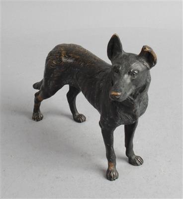 Schäferhund, - Antiques